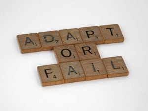 Adapt or Fail - Change Management